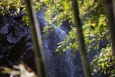 新索尼工作室Firesprite正利用虚幻5制作3A恐怖游戏