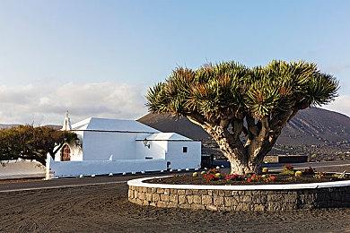 EA《大学橄榄球25》选择完全绕过PC平台 原因不明