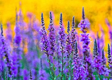 《死亡回归》PC版特性预告片公布 2＆15发行